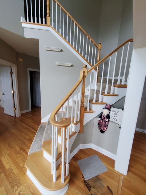 Painting an outdated staircase is an excellent way to modernize your living space. This article discusses the best paint colors for staircase railings and spindles. Staircase Railing Ideas, Painted Stair Railings, Modern Staircase Railing, Petunia Care, Paint Stained Wood, Black Stair Railing, Staircase Spindles, Staircase Layout, Indoor Stairs