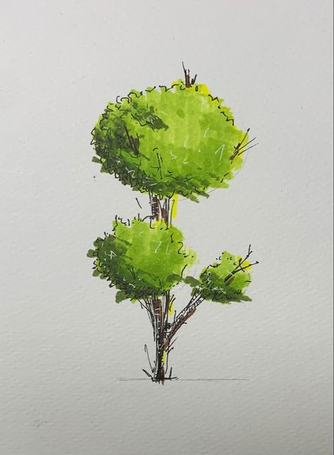 Easy tree marker rendering for architectural drawings Tree Drawing Marker, Architecture Marker Rendering, Marker Tree Drawing, Easy Tree Sketch, Tree Alcohol Markers, Tree Drawing With Color, Tree Drawing Architecture, Trees Rendering, Marker Drawing Easy