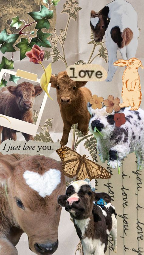 Connect With People, Your Aesthetic, Creative Energy, Farm Animals, Cow, Energy, Collage, Animals