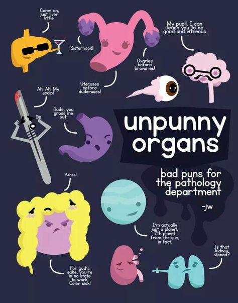 Unpunny organs Science Humor Biology, Nerd Puns, Brain Puns, Cute Anatomy, Medical Scientist, Anatomy Puns, Heart And Brain Comic, Anatomy Humor, Medical Puns