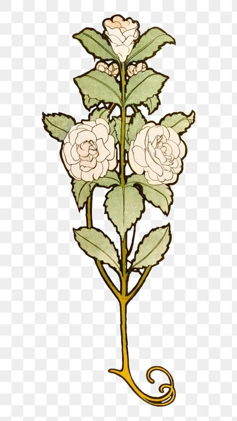 Alphonse Mucha Rose, White Rose Png, Fleurs Art Nouveau, Art Nouveau Mucha, Art Nouveau Tattoo, Motifs Art Nouveau, Nouveau Tattoo, Rose Png, Mucha Art