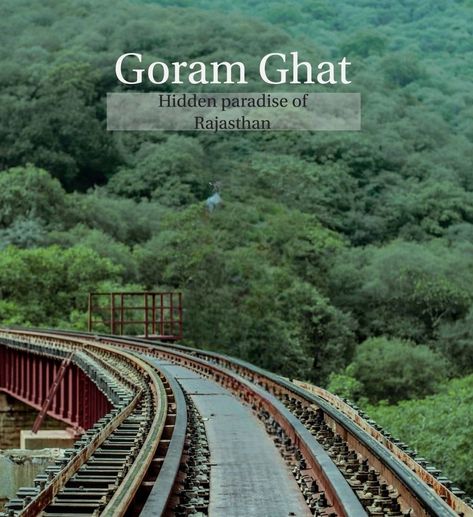 Goram Ghat, India History, Train Journey, Peaceful Places, Rajasthan India, Beautiful Waterfalls, Udaipur, Amazing Adventures, What Is Life About