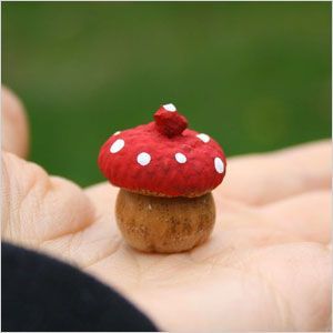 15 Acorn craft ideas – SheKnows Toadstool Craft, Nut Crafts, Acorn Craft, Acorn Painting, 4h Ideas, Acorn Decorations, Acorn Ornaments, Fairy Stuff, Mushroom Crafts