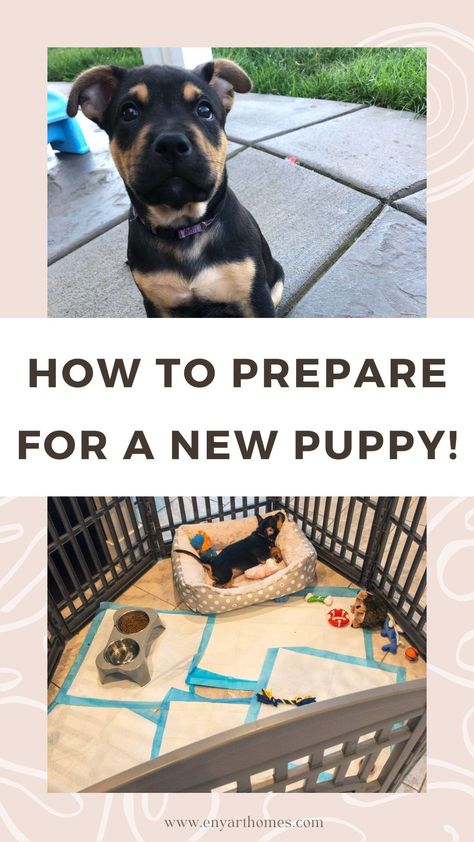 Are you getting ready to pickup your new furbaby? Find out what you need to safely get them home, prepare your home, feed your new puppy, and more. Plus, the best new puppy supplies to help you and your pup transition easily. Preparing For New Puppy, Puppy Ideas Bringing Home, New Puppy Set Up Home, Adopting A Puppy, Puppy Playpen Setup, New Puppy Set Up, Puppy Set Up Ideas, Puppy Preparation, Puppy Must Haves