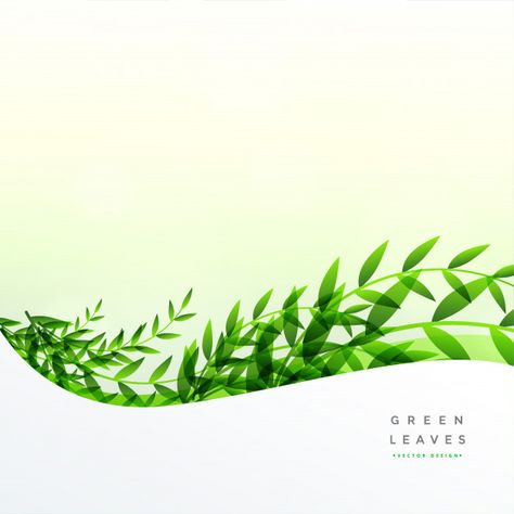 Green leaves background with text space ... | Free Vector #Freepik #freevector #freebackground #freetree #freecard #freesummer Herbal Background, Victor Design, Green Leaves Background, Plants Background, Green Leaf Background, Leaves Background, Promotion Poster, Herbal Plants, Poster Background