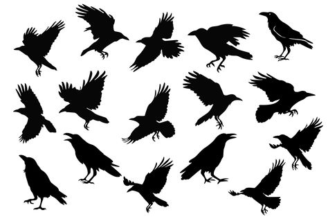 Crows Silhouette, Crow Outline, Pov Drawing, Crow Vector, Crow Clipart, Flying Crows, Folk Animals, Crows Flying, Raven Silhouette