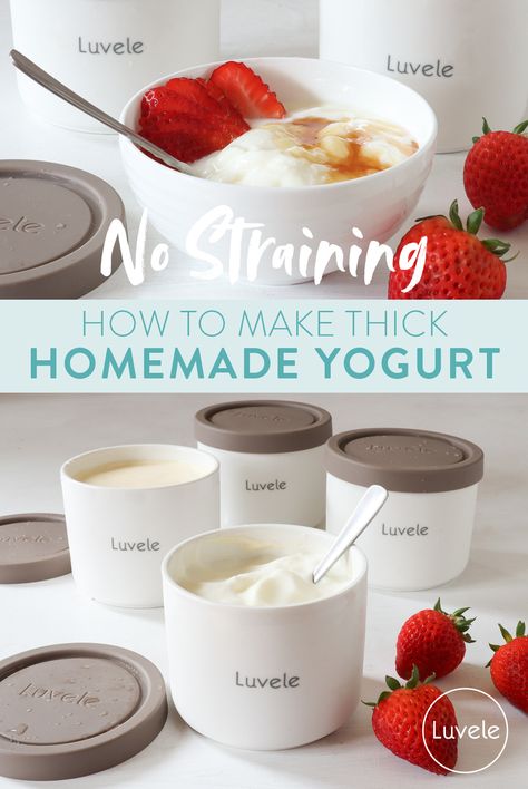 How to make thick homemade yogurt - Luvele US Yogurt Starter Culture, Homemade Yogurt Recipes, Diy Yogurt, Yogurt Makers, Food Dehydrators, Making Yogurt, Yogurt Recipe, Yogurt Flavors, Yogurt Maker