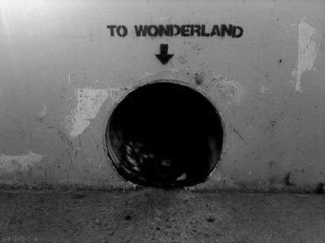 . Go Ask Alice, Magic Places, To Wonderland, Alice And Wonderland Quotes, Wonderland Quotes, Were All Mad Here, Trailer Park, Through The Looking Glass, Rabbit Hole