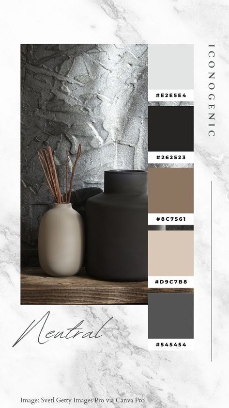 Grey Palette Colour Schemes, Cool Neutral Color Palette, Charcoal Color Palette, Style Tips And Tricks, Black Living, Color Palette Living Room, Beige Color Palette, Color Design Inspiration, Black Color Palette