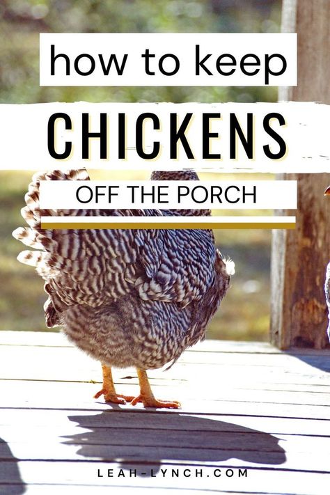 How To Keep Chickens, Keeping Ducks, Chicken Poop, Clean Chicken, Raising Farm Animals, Backyard Farm, Raising Backyard Chickens, Health Signs, Keeping Chickens