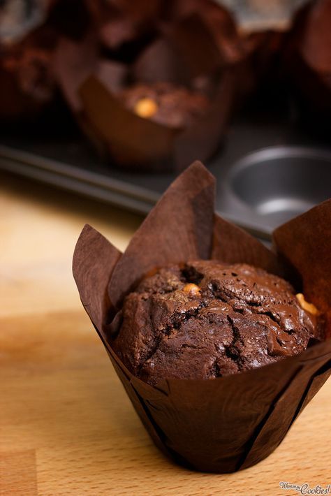 Chocolate Protein Muffins, Brownie Muffins, Double Chocolate Muffins, Pie Pops, Healthy Chocolate Chip, Low Calorie Dessert, Protein Muffins, Easter Eggs Chocolate, Healthy Muffins