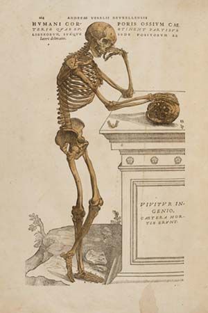 A skeleton leaning on a plinth and contemplating a skull beneath its right hand, possibly the most iconic image from the 1543 edition of "De Humani Corporis Fabrica" by Andreas Vesalius. Shakespeare Art, Anatomical Study, Skeleton Woman, Famous Drawing, A Skeleton, Halloween Poster, A4 Poster, Skull And Bones, Memento Mori