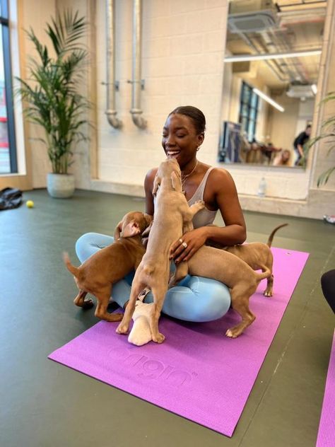 Puppy Yoga London, Yoga With Puppies, Puppy Yoga Aesthetic, Visualising Data, Puppy Yoga, Dog Massage, Yoga Place, Campus Activities, Animal Yoga