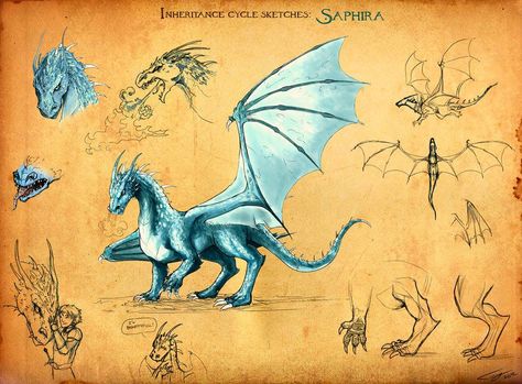 Saphira! Httyd Outfits, Saphira Dragon, Eragon Fan Art, The Inheritance Cycle, Eragon Saphira, Inheritance Cycle, Christopher Paolini, Dragon Rider, Blue Dragon