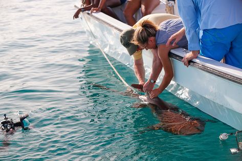 High School Semester — The Island School Island School, Environmental Studies, Outdoor Education, Open Ocean, Environmental Awareness, Sense Of Place, Sustainable Energy, Open Water, Experiential