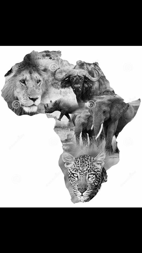 Africa big 5 tattoo design Big 5 Tattoo, Africa Big 5, African Animals Photography, 5 Tattoo, Africa Tattoos, Tier Tattoo, Animal Outline, African Tattoo, Africa Photography