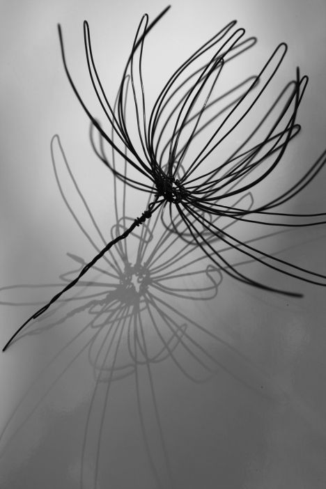 3D Wire Art, flower, made with mechanical wire and metal mesh, sprayed in black. | Teresa Leung 3d Wire Art, Wire Art Sculpture, Wire Sculptures, Art Wire, Wire Craft, Wire Flowers, Metal Art Welded, Metal Art Sculpture, Wire Sculpture