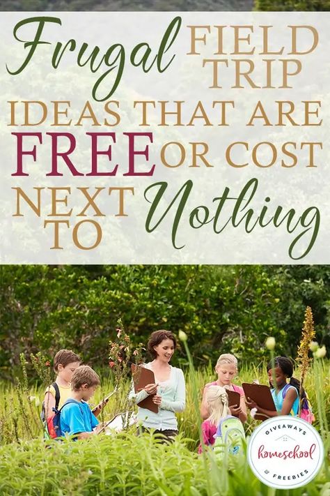 Field Trip Ideas, Homeschool Field Trips, Homeschool Freebies, Homeschool Education, How To Start Homeschooling, Homeschool Inspiration, Homeschool Schedule, Homeschool Learning, Homeschool Life