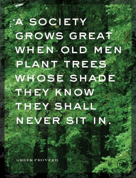 Plant the seeds for a tree whose shade you might never sit in Words Worth, We Are The World, Visual Statements, E Card, Back To Nature, What’s Going On, Quotable Quotes, A Quote, Old Men