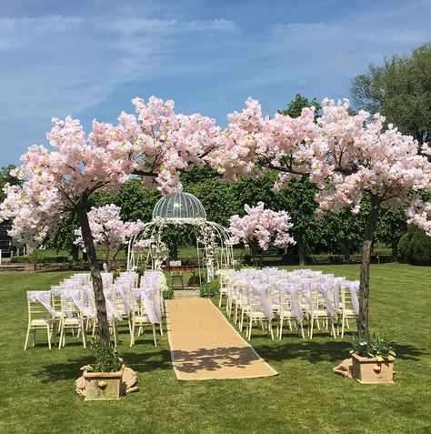 Cherry Blossom Centerpiece, Blossom Tree Wedding, Wedding Walkway, Cherry Blossom Theme, Wedding Alters, Cherry Blossom Wedding, Outdoor Fall Wedding, Outside Wedding, Cherry Blossom Tree