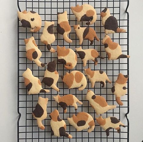 Cat Cookies, Think Food, Cute Cookies, Cute Desserts, Fruit Desserts, Pretty Cakes, Pretty Food, Cute Food, Aesthetic Food