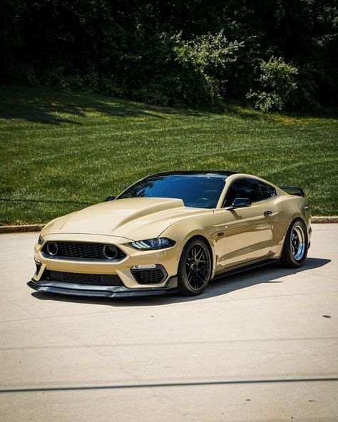 Mustang S550, Mercury Capri, S550 Mustang, Ford Mustang Shelby, Mustang Cars, Mustang Shelby, Street Cars, Car Photography, Mustang Gt