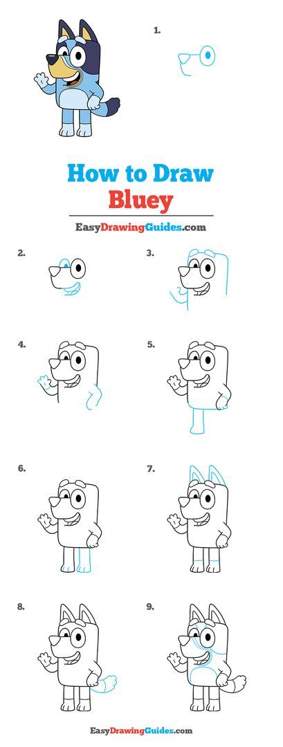 Draw Bluey Step By Step, Bluey Cartoon Drawings Easy, Bluey Cartoon Drawings, How To Draw Bluey Step By Step, Bluey Drawing Kids, How To Draw Bluey Characters Step By Step, Draw Bluey Easy, Step By Step Drawing Characters, Bluey Drawing Idea