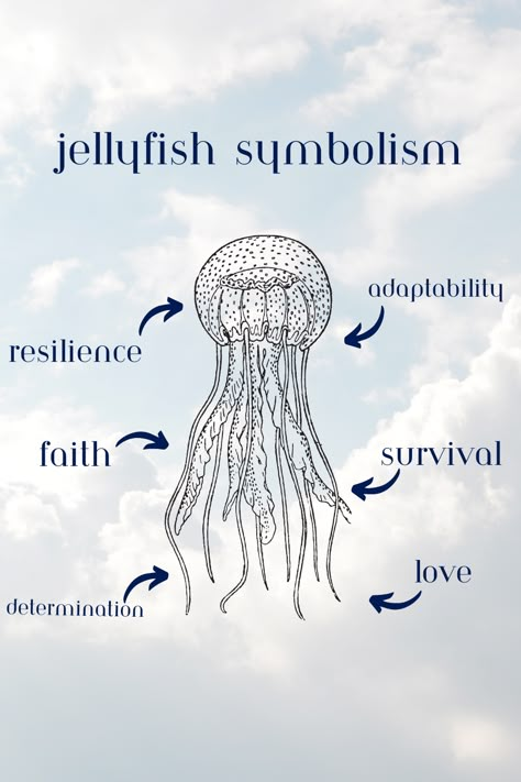 Creature Quotes, Jelly Fish Tattoo Meaning, Stingray Meaning, Sea Symbol, Jellyfish Tattoo Meaning, Ocean Symbolism, Jelly Fish Meaning, Simple Jellyfish Tattoo, Long Jellyfish Tattoo