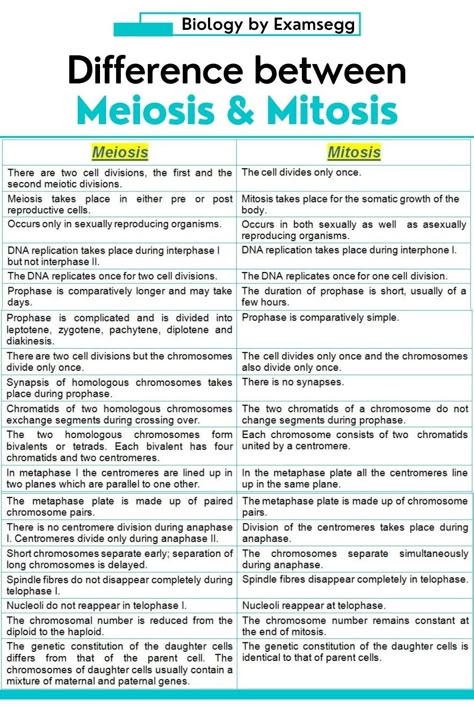 difference between Mitosis and Meiosis Mitosis Vs Meiosis Notes, Biology Mitosis Meiosis Notes, Meiosis Vs Mitosis, Biology Notes Mitosis, Mitosis And Meiosis Notes, Biology Meiosis, Meiosis Notes, Mitosis Notes, Biology Help