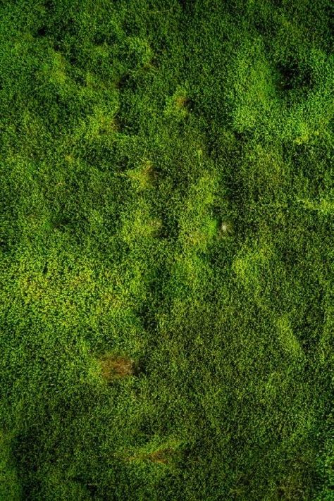 Moss Panels, Grass Texture Seamless, Moss Panel, Grass Photoshop, Moss Texture, Grass Texture, Tree Textures, Forest Background, Black Phone Wallpaper