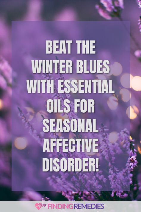 Beat the Winter Blues with Essential Oils for Seasonal Affective Disorder! Seasonal Affective, Boost Your Mood, Boost Energy Levels, Mood Enhancers, Essential Oil Diffuser Blends, Oil Diffuser Blends, Mood Boost, Relaxation Techniques, Essential Oils Rosemary