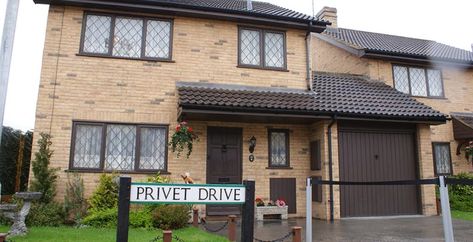 The Dursleys' residence, Privet Drive, features much more heavily in the Harry Potter books than the films. Here's what they're missing. 4 Privet Drive, Ravenclaw Common Room, Harry Potter Wiki, Arthur Weasley, Harry Potter Bedroom, New Spain, Harry Potter Houses, Common Room, Harry Potter Films