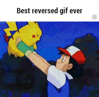 Pokemon Memes, Pokemon Funny, Very Funny Pictures, Real Funny Jokes, Some Funny Jokes, Really Funny Joke, Hysterically Funny, Cute Pokemon, Unique Things