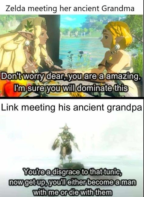 Echoes Of Wisdom Zelda, Zelda Memes Funny, Lego Zelda, Link X Zelda, Link Funny, Zelda Comics, Linked Universe, Legend Of Zelda Characters, Botw Zelda