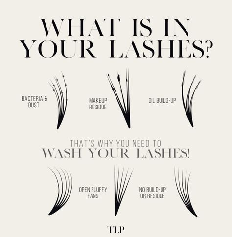 Your lash artist can literally tell what you’ve been up to by your lashes if you don’t wash them👀😂😂 The most common one I see is oil build up!!! ( if your lash fans start looking “wet” and clumped together even when they’re dry… you have an oil build up!! ) 😭 It’s easy to happen and you dont have to wear ANY makeup for this to happen- so here’s your lil reminder to wash those lashes regularly 🥰🥰 #customlashextensions #lashextensions #lashposts #lashquotes #lashbusinessowner #beautytips #... Wash Your Lashes, Lash Course, Lash Maps, Lash Fans, Lash Quotes, Lash Room, Lash Artist, Lash Extensions, Beauty Hacks