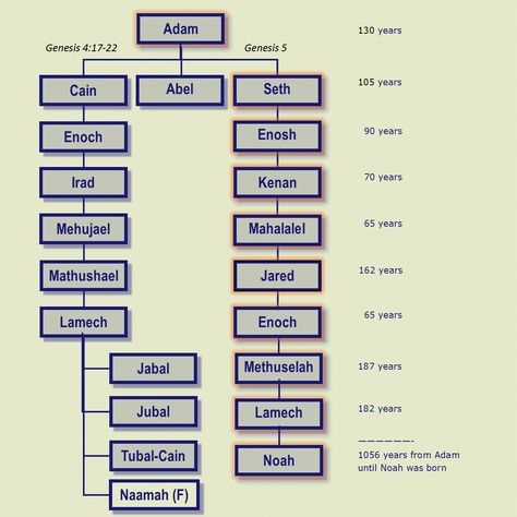 Tubal Cain, Adam Eve, Adam And Eve, Bible Stories, Descendants, Family Tree, The Bible, Bible, Historical Figures