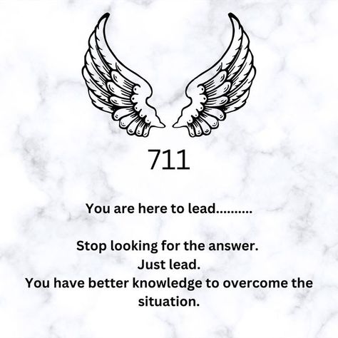 Manifest Attraction, 711 Angel Number, Angel Number Meanings, Psychic Reader, Number Meanings, Mental Health Support, The Genius, Chakra Balancing, Mindset Coaching