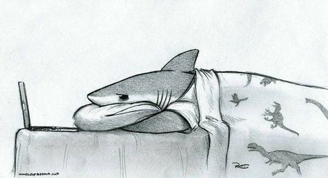 Drawings Of Sharks, Storm Doodle, Shark Sketch, Shark Pictures, Shark Art, Cute Shark, Arte Inspo, 웃긴 사진, Character Sketch