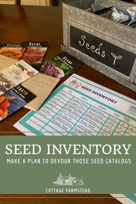 Take a seed inventory BEFORE opening those alluring seed catalogs to make sure you buy exactly what you need and will feasibly fit in our vegetable garden plot. Get your own free printable seed inventory worksheet today!    #seeds #seedstarting #gardenplanning #gardeningtips #vegetablegarden Seed Inventory, Homestead Business, Inventory Printable, Homemade Elderberry, Garden Plot, Echinacea Tea, Old Souls, Farm Business, Garden Plots