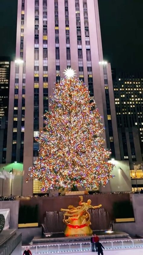 Christmas Tree Nyc, New York Christmas Tree, Christmas Lights Wallpaper, Rockefeller Center Christmas Tree, Rockefeller Center Christmas, Big Christmas Tree, Nyc Christmas, Christmas Wallpaper Backgrounds, Christmas Phone Wallpaper