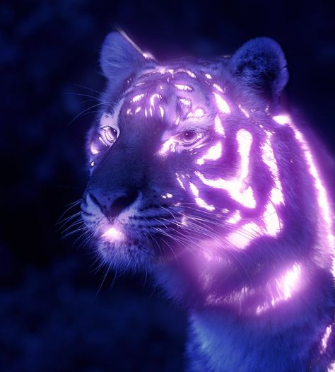 How to Add a Glow Effect in Photoshop Photoshop Glow, Purple Color Combinations, Purple Color Palettes, Glow Effect, Black Tigers, Neon Glow, Color Balance, Luminous Colours, Neon Art