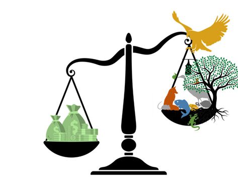 Describe an environment lawYou should say:• what it is• how you first learned about it• who benefits from itAnd explain how you feel about this law. Sample Answer I would like to talk about a policy which the government put in place a long time ago, and I believe that has had a tremendously positive effect on the […] Law Of Demand, Speaking Test, Environmental Ethics, Future Vision Board, Ielts Speaking, Environmental Law, Speaking Practice, Environmental Problem, Studying Law