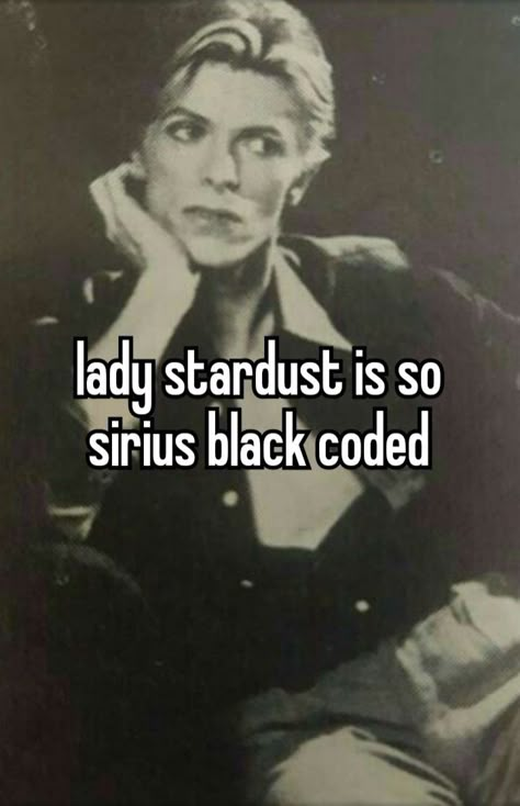 lady stardust is so sirius black coded Fic Recs, Flat In London, Marauders Wolfstar, Marauders Aesthetic, Lady Stardust, Hp Universe, Marauders Harry Potter, Harry Potter Pin, Hp Marauders