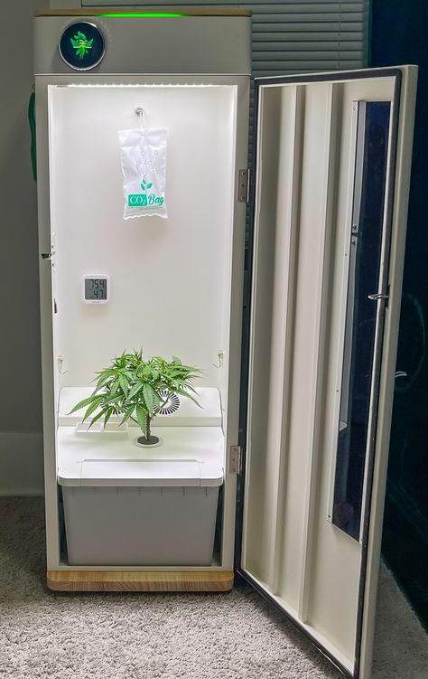 Hey abby Grow Box OG review - Home plant growing made easy! - The Gadgeteer Diy Grow Box Indoor, Grow Room Ideas Indoor, Indoor Grow Light Ideas, Grow Box Indoor, Cali Apartment, Indoor Grow Room, Hydroponic Grow Box, Grow Cabinet, Trellis Netting