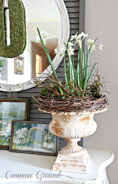 common ground : Paperwhites in the Christmas Entry Wattle Fencing, Recycled Candle Jars, Small Tabletop Christmas Tree, Tabletop Christmas Trees, Lighted Wreath, Old Milk Bottles, Paper Whites, Galvanized Metal Bucket, Christmas Entry