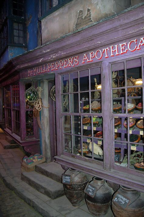 Diagon Alley Apothecary, Apothecary Harry Potter, Victorian Signage, Hogsmeade Shops, Harry Potter Windows, Craftsman Basement, Harry Potter Diorama, Diagonal Alley, Diagon Alley Shops