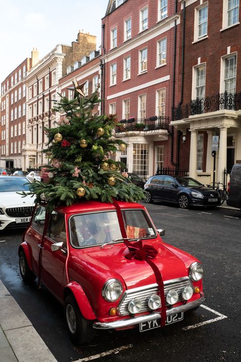 Stacie Flinner, Christmas In London, Long Weekend Trips, Chelsea Garden, London Aesthetic, London Christmas, Christmas Wonderland, Wonderful Time Of The Year, Christmas Mood