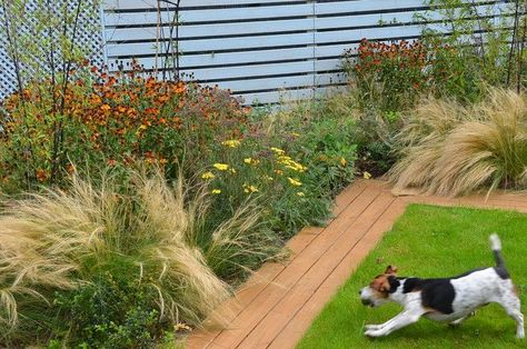 Dog Yard Landscaping, Pet Friendly Backyard, Backyard Dog Area, Small Garden Plans, Small Back Gardens, Dog Friendly Garden, Dog Friendly Backyard, Small Garden Layout, Dog Backyard