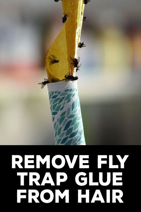 How to Remove Fly Trap Glue From Hair Deer Fly, Get Rid Of Flies, Glue Traps, Fly Paper, Matted Hair, Fly Trap, Fly Traps, Paper Glue, Mild Shampoo