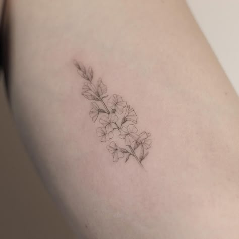 Dragon Snap Tattoo, Snapping Dragon Flower, Snapdragon Sketch, Snap Dragon Tattoo Simple, Dragon Snap Flower Tattoo, Snap Dragon Flower Tattoo, Snapdragon Flowers Tattoo, Snapdragon Flower Tattoo, Snap Dragon Tattoo